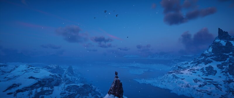 Bird on Snowy Peak