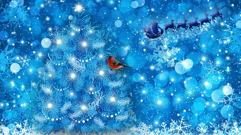 Bird on Snowy Tree