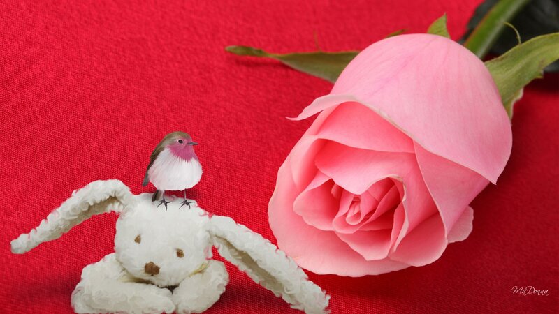 Bird on Stuffed Rabbit