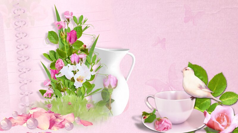 Bird on Teacup