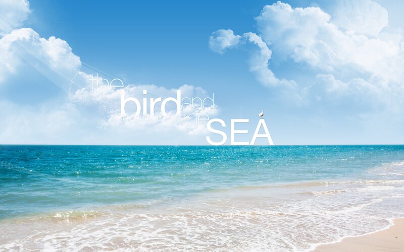 Bird on the Sea