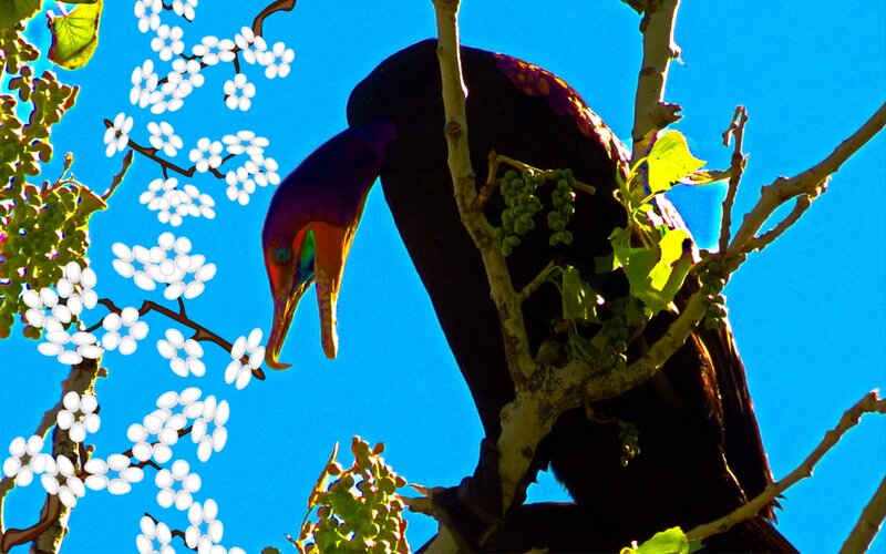 Bird on Tree Branch — Blue