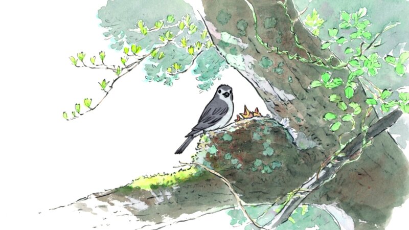Bird on Tree Branch — Green, Serene, Spring, Illustration