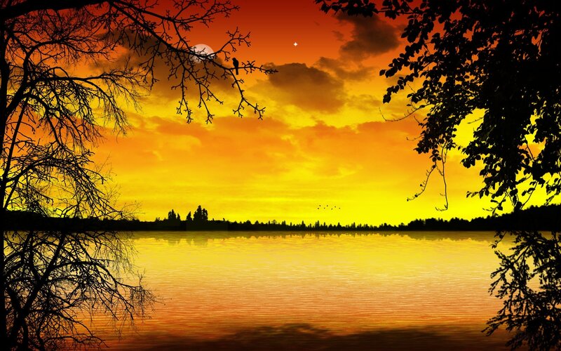 Bird on Tree Branch — Yellow, Serene, Sunset