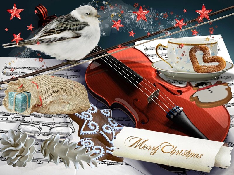 Bird on Violin