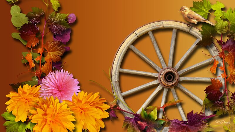 Bird on Wagon Wheel — Orange