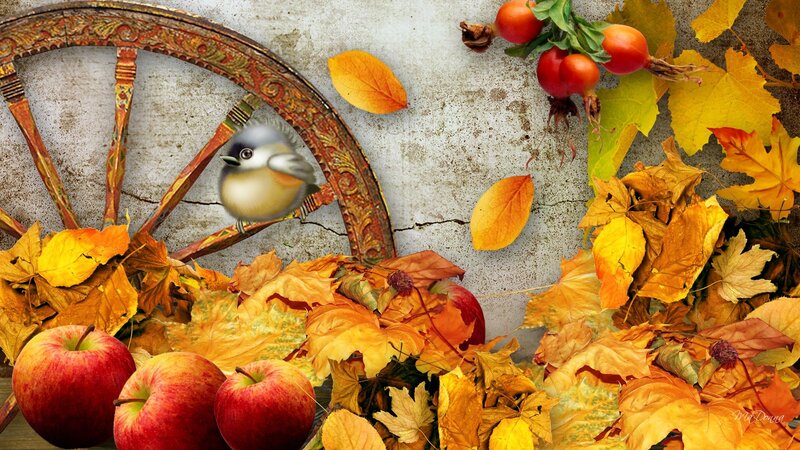 Bird on Wagon Wheel