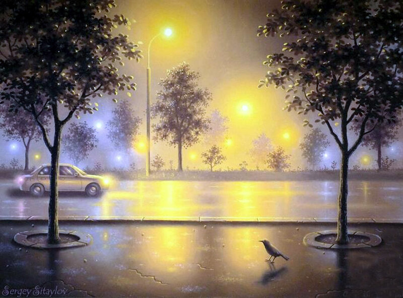 Bird on Wet Pavement