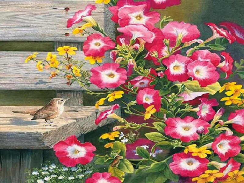 Bird on Wooden Bench — Pink
