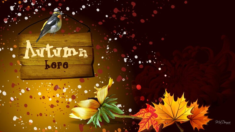 Bird on Wooden Sign