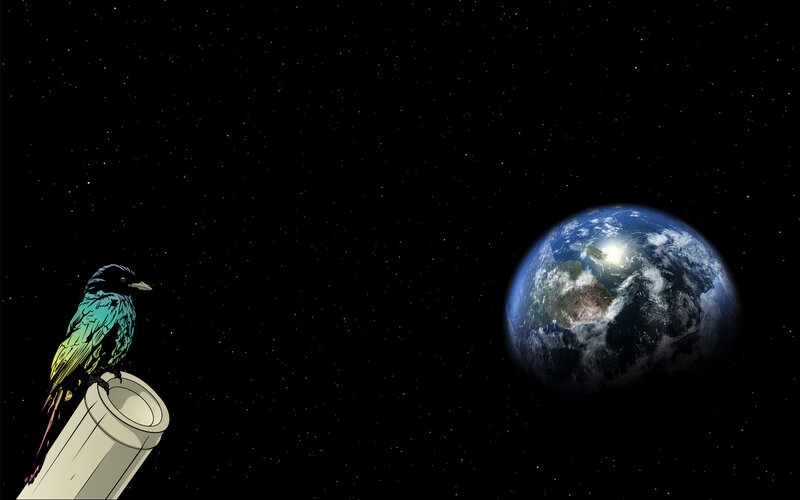 bird overlooking earth from space