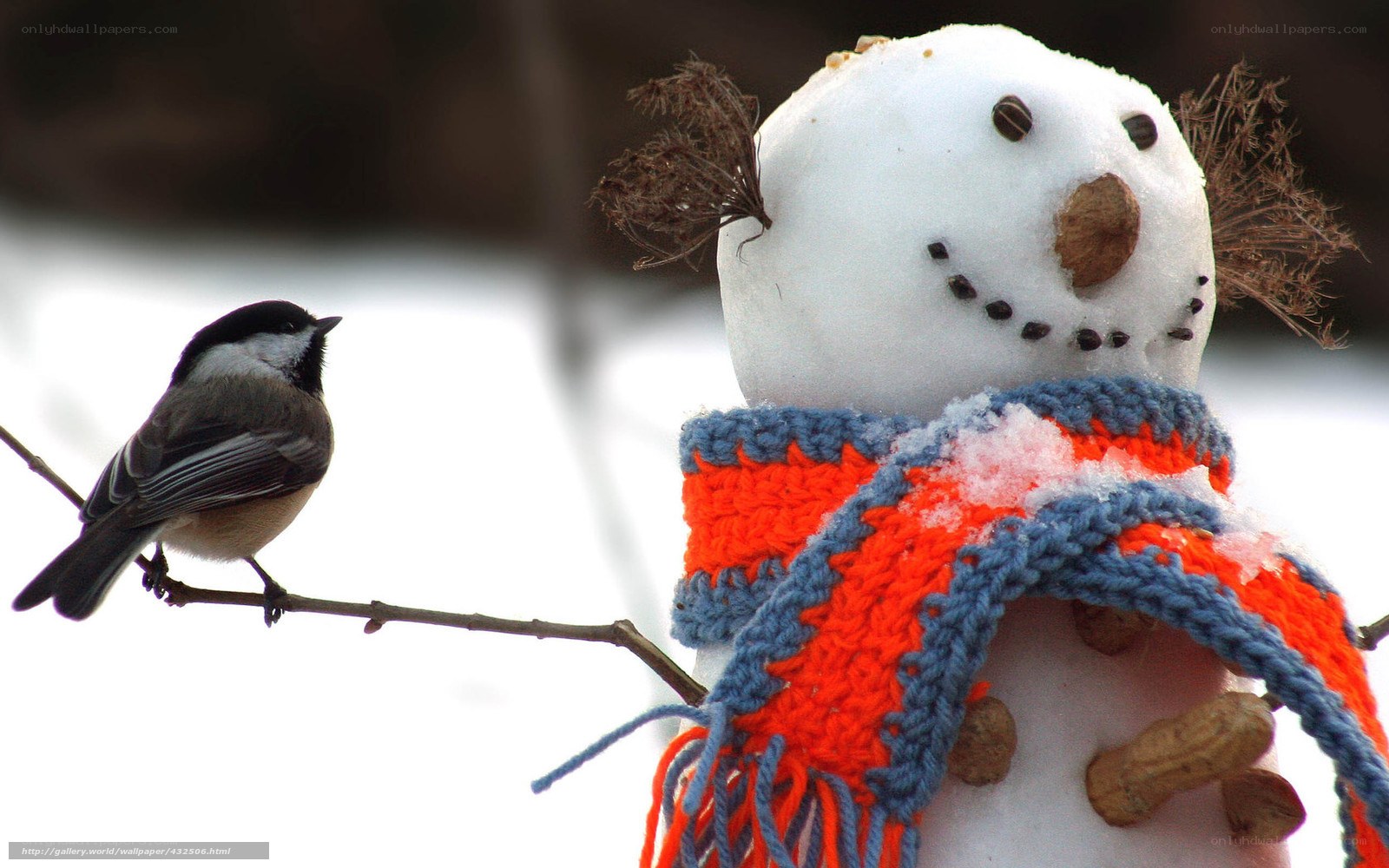 Bird perched near snowman