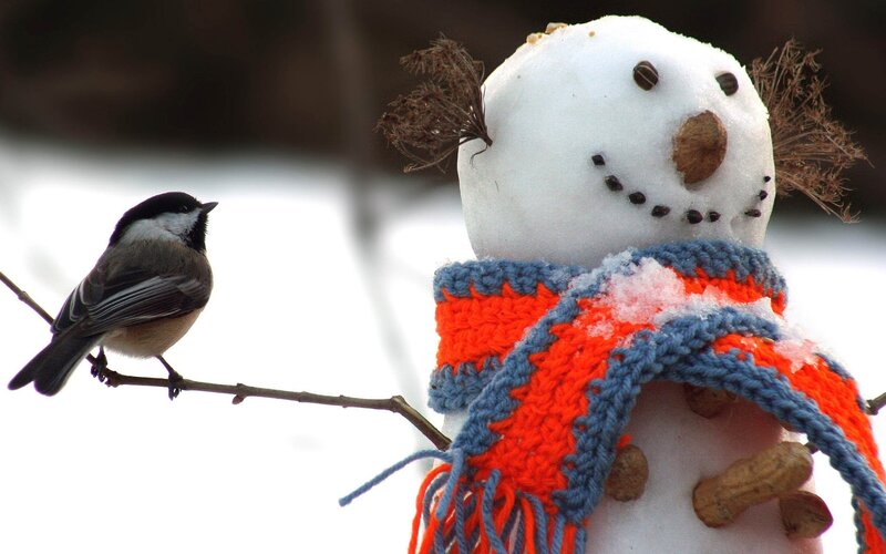 Bird perched near snowman