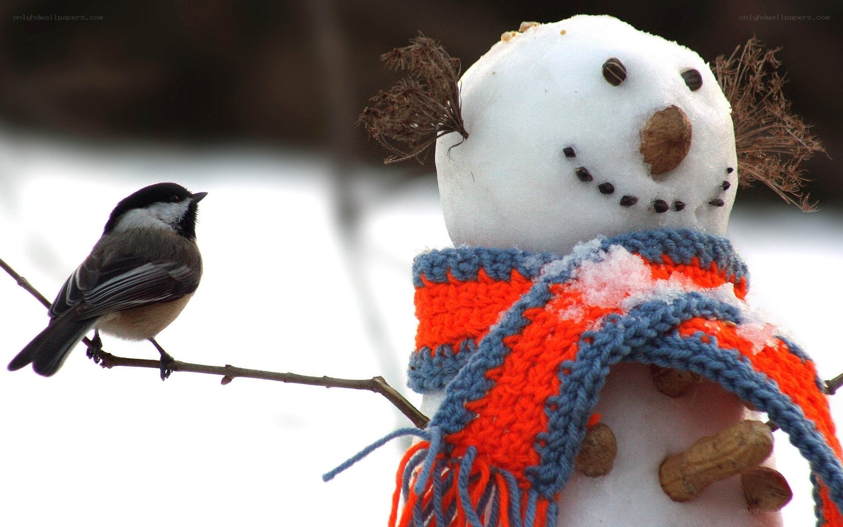 Bird perched near snowman