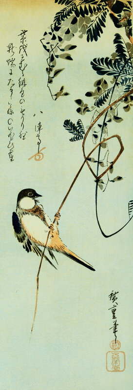 Bird perched on a branch