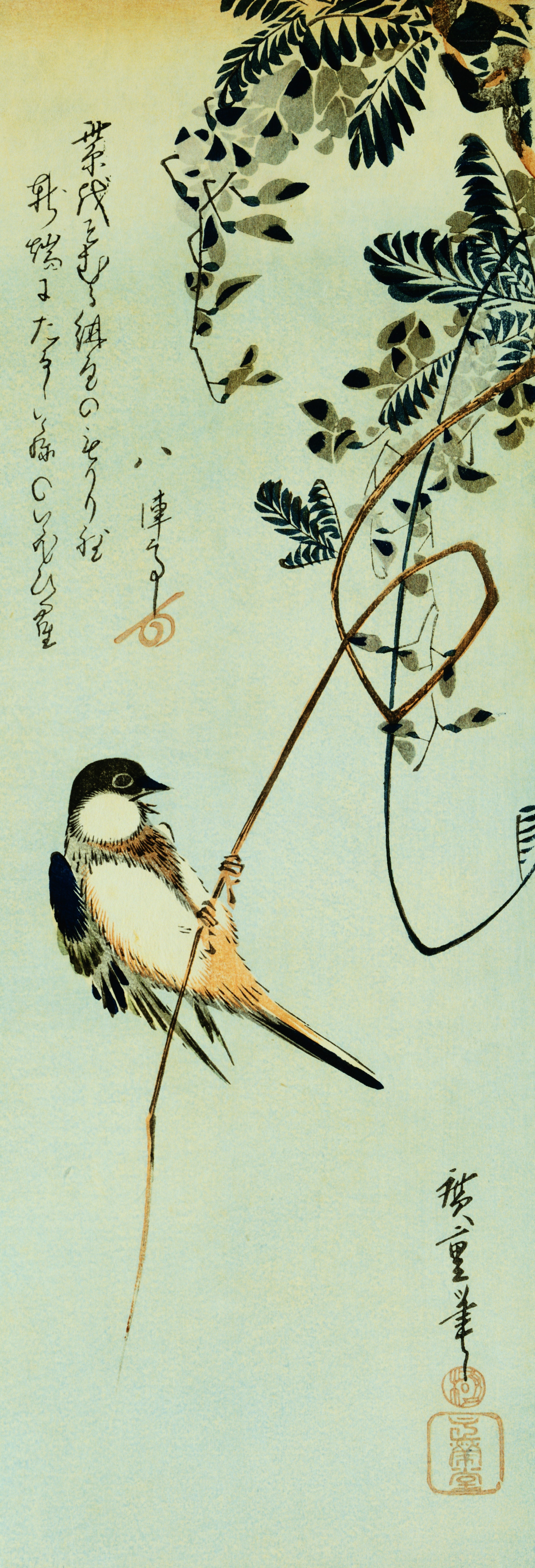 Bird perched on a branch