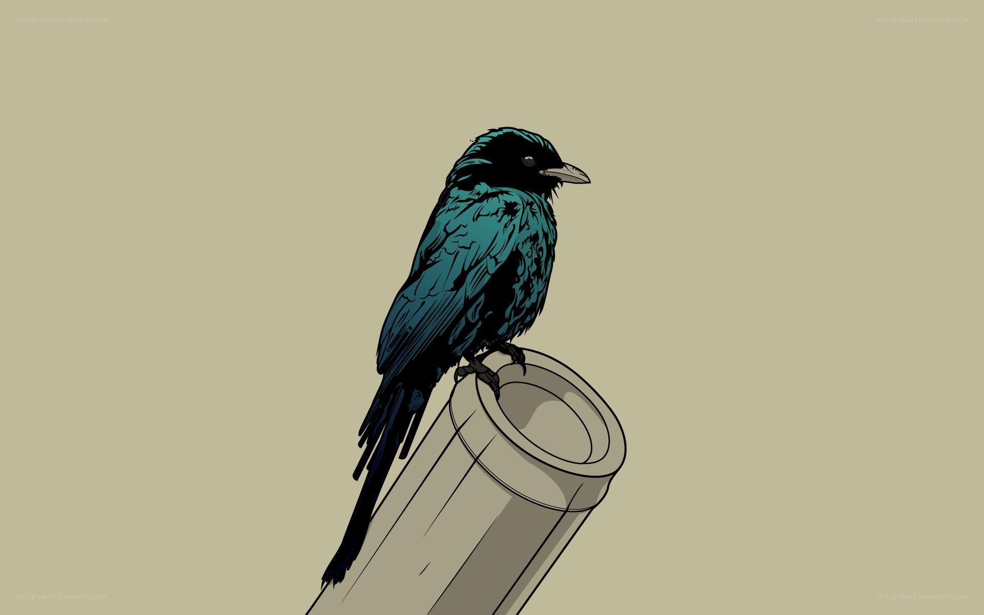 bird perched on pipe