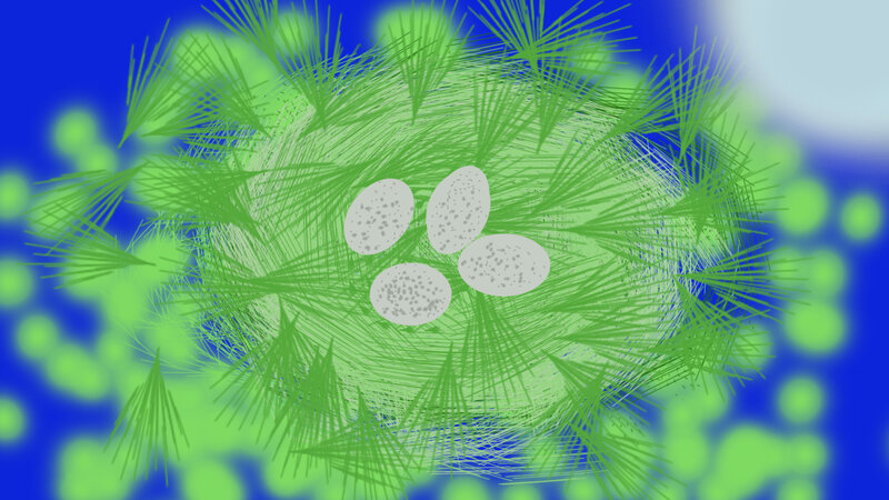 Bird's Nest with Eggs — Green, Calm