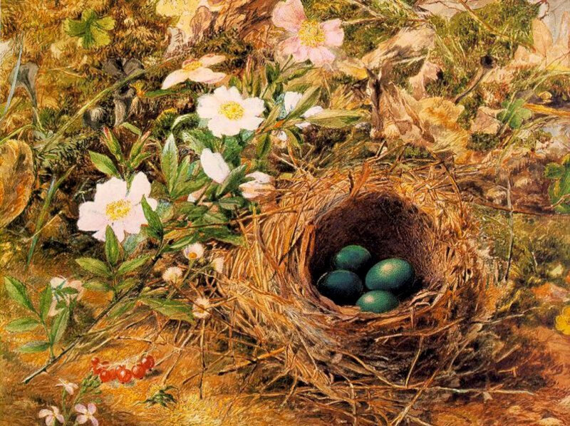 Bird's nest with green eggs