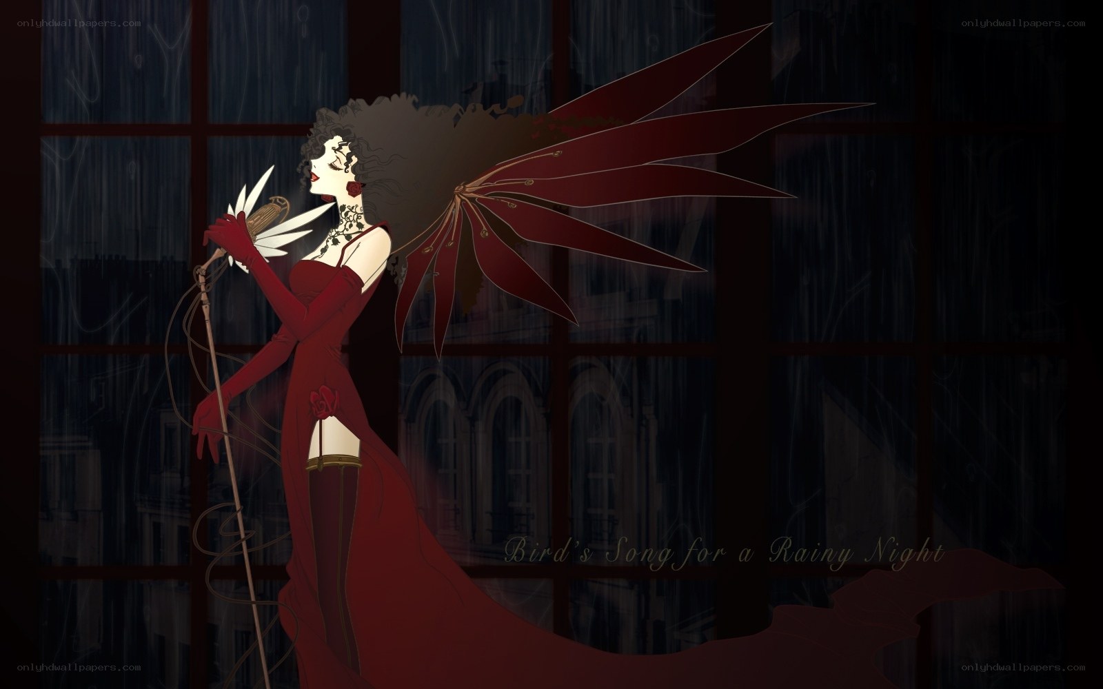 Bird's Song for a Rainy Night