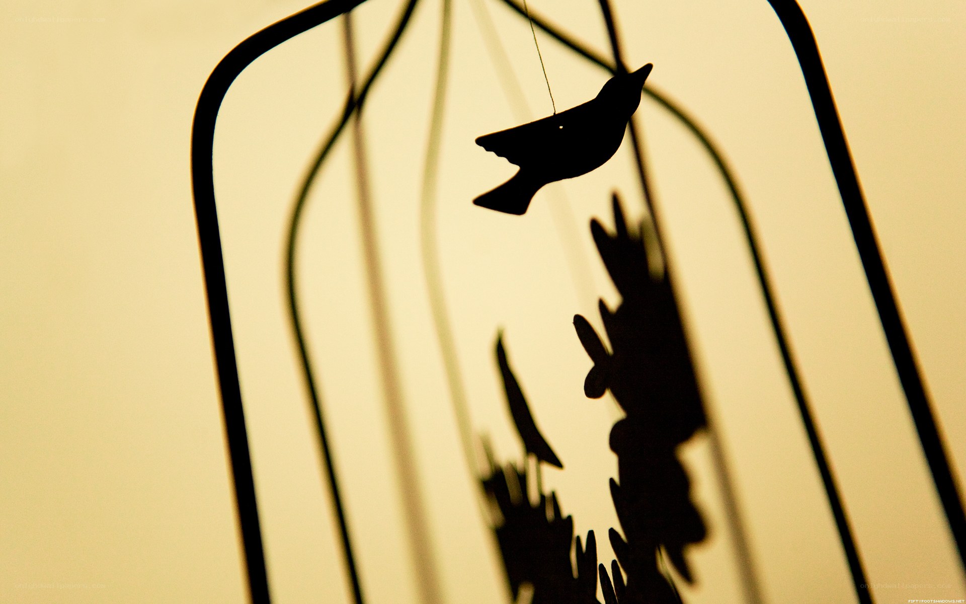 Bird silhouette in a cage