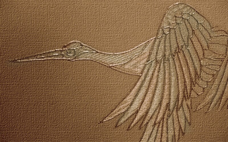 bird sketch on textured paper