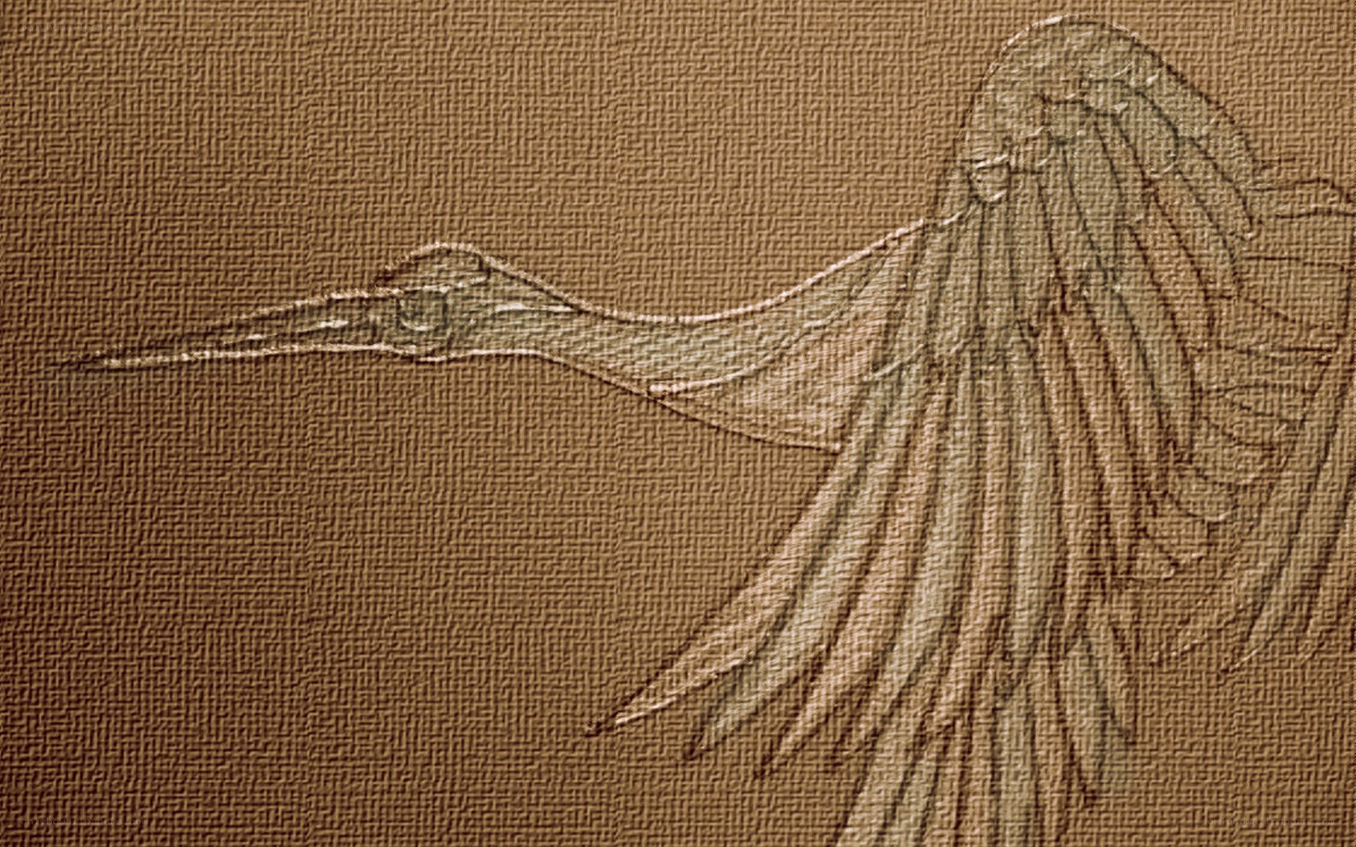 bird sketch on textured paper