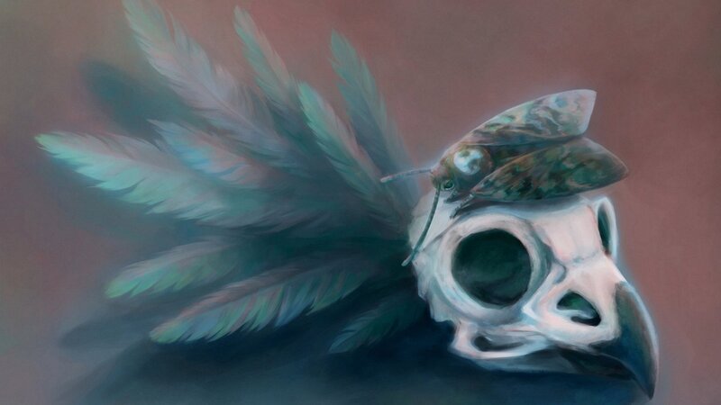 Bird Skull with Moth
