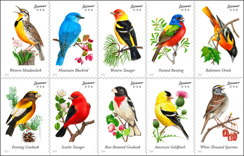 Bird Stamps Collection