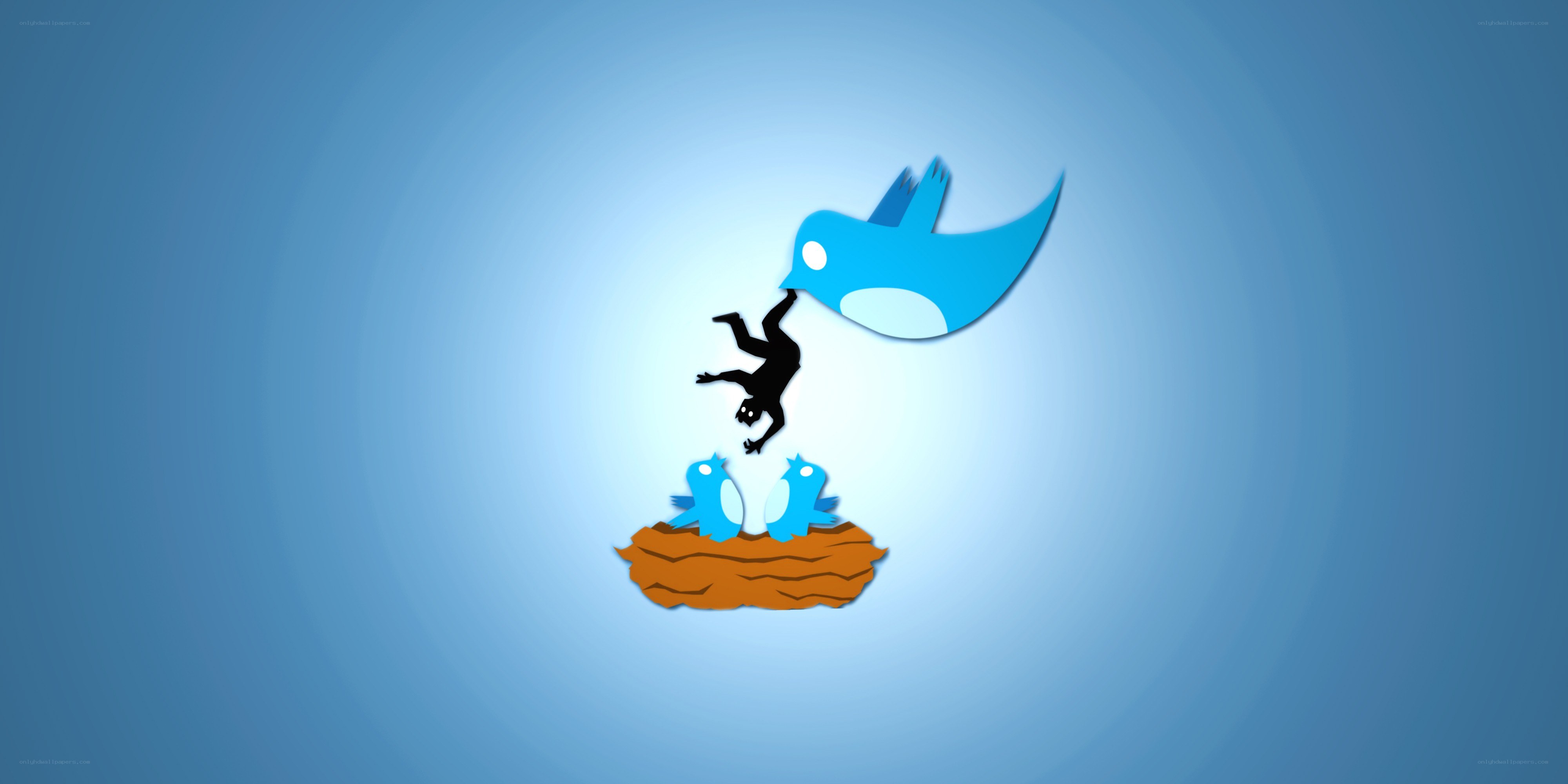 Bird stealing baby from nest