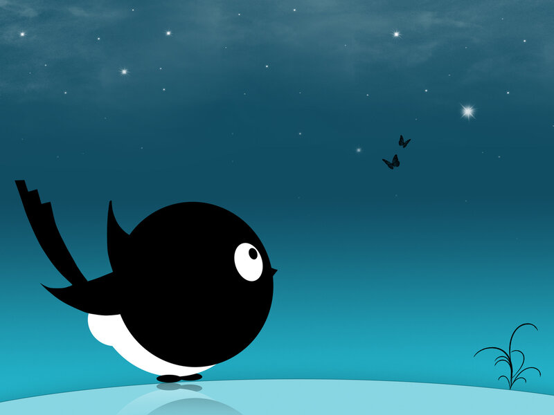 bird under starry sky
