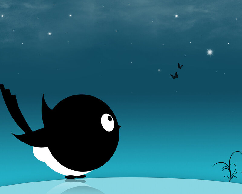 bird under starry sky