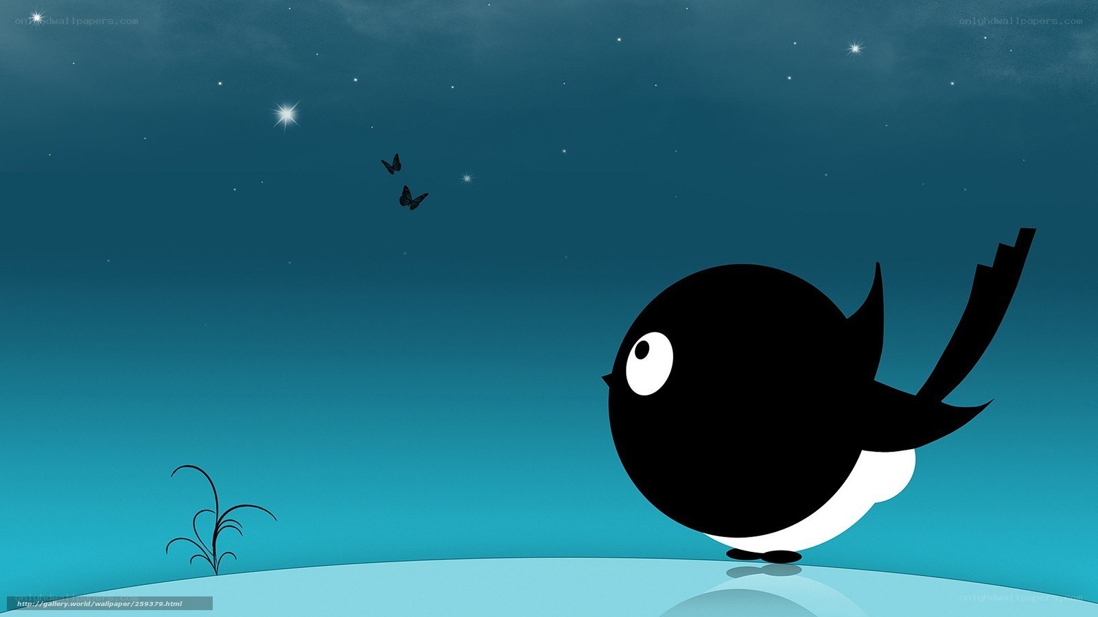 bird under starry sky