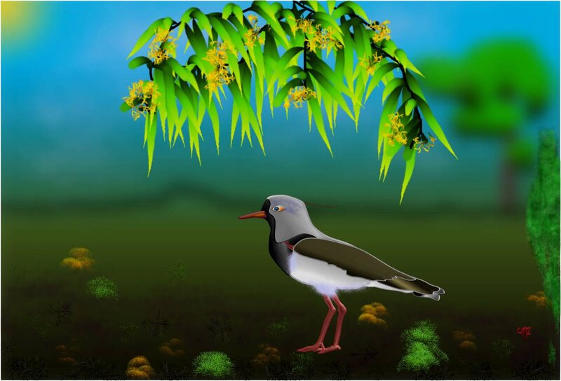 Bird under Tree Branch