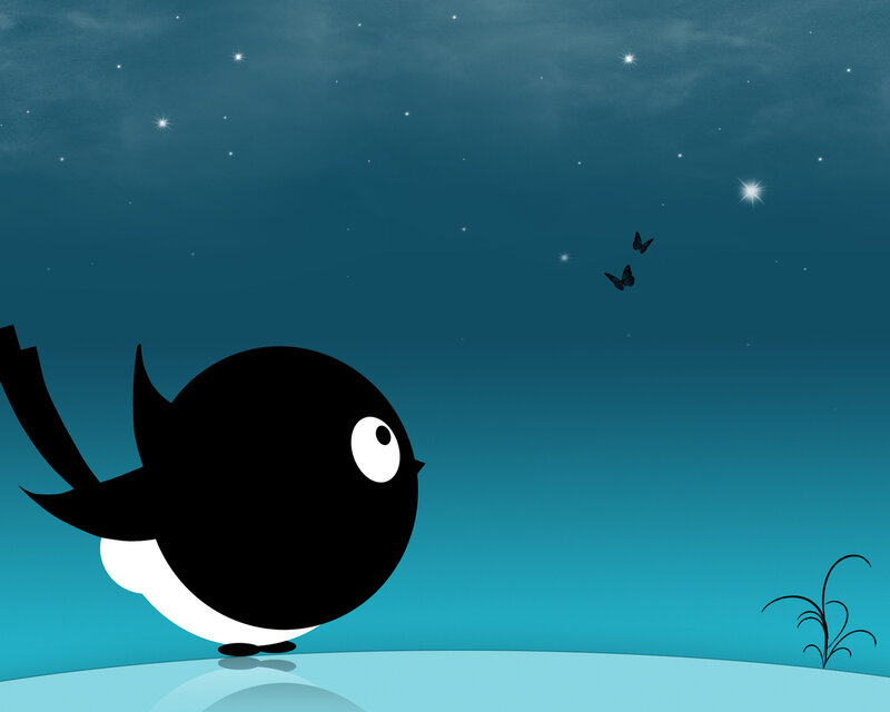 bird watching stars at night