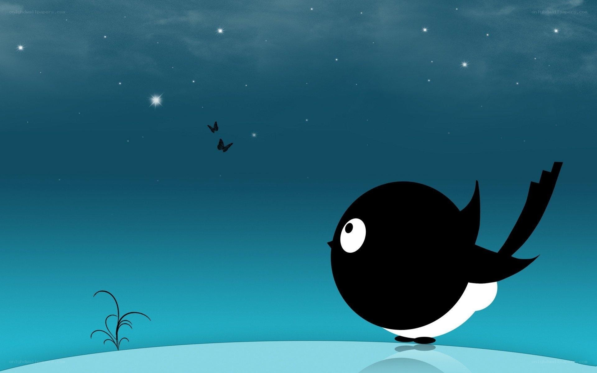 Bird watching stars at night