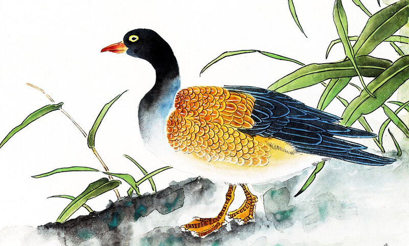 Bird with Black Head — Green
