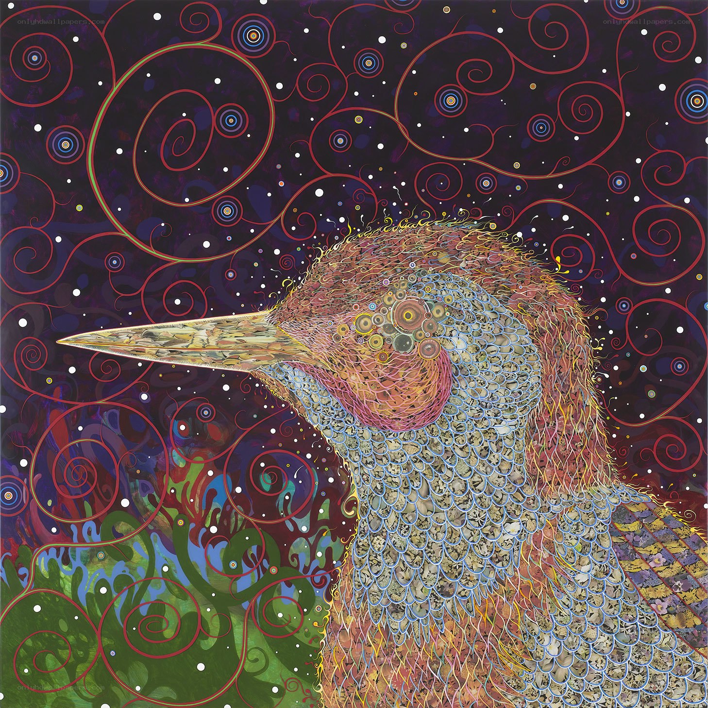 Bird with cosmic swirls