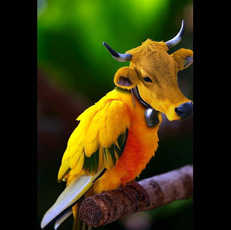 bird with cow head