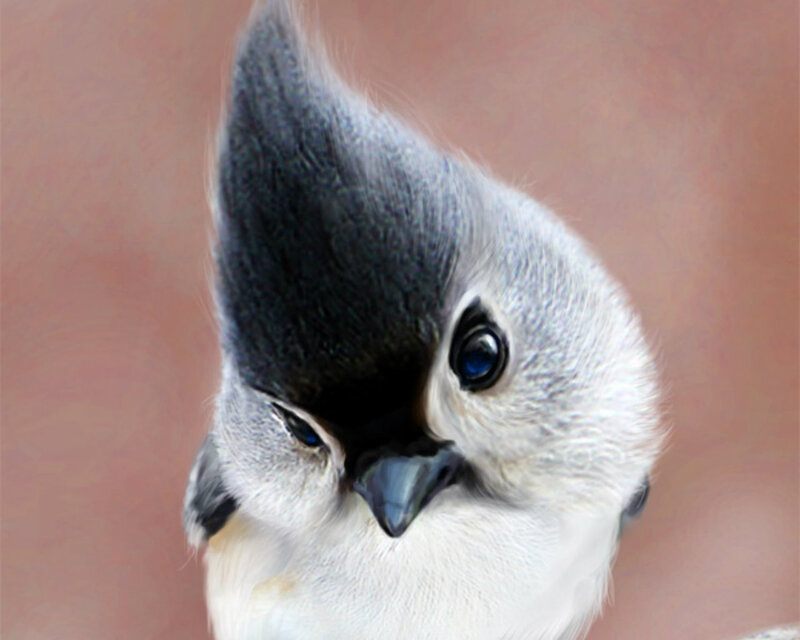 Bird with Crest — Gray