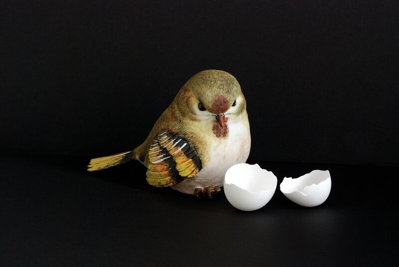 Bird with Eggshells