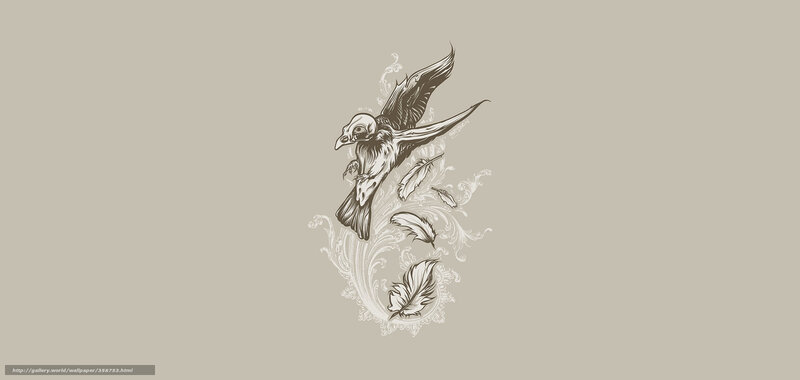 bird with feathers illustration