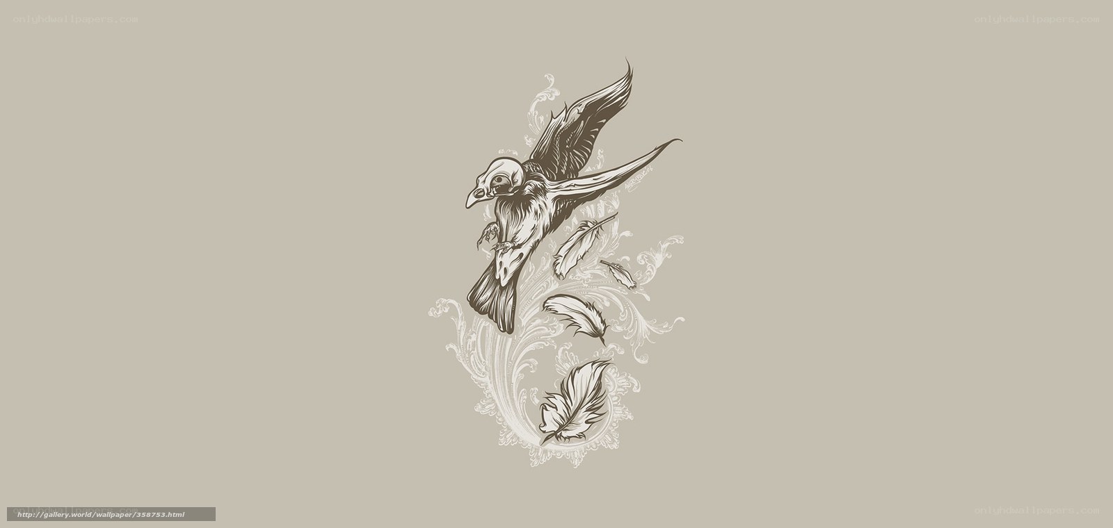 bird with feathers illustration