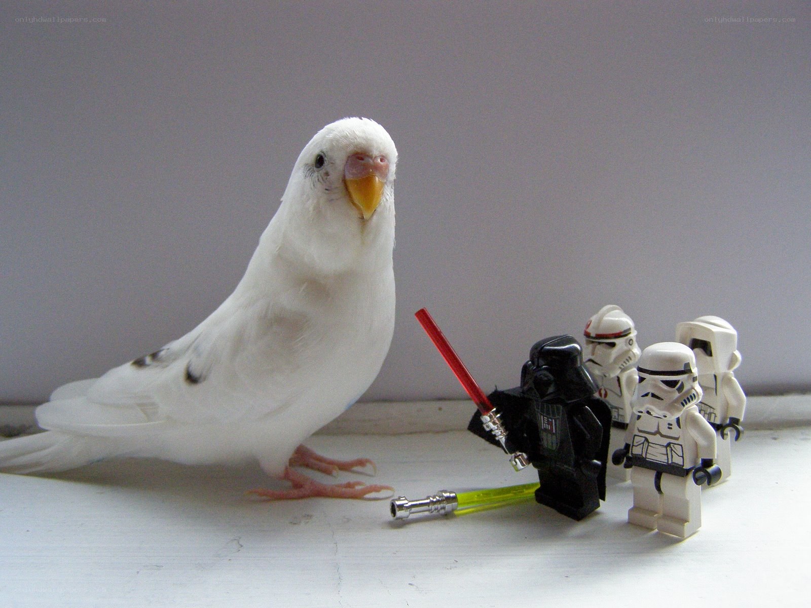 bird with lego star wars figures