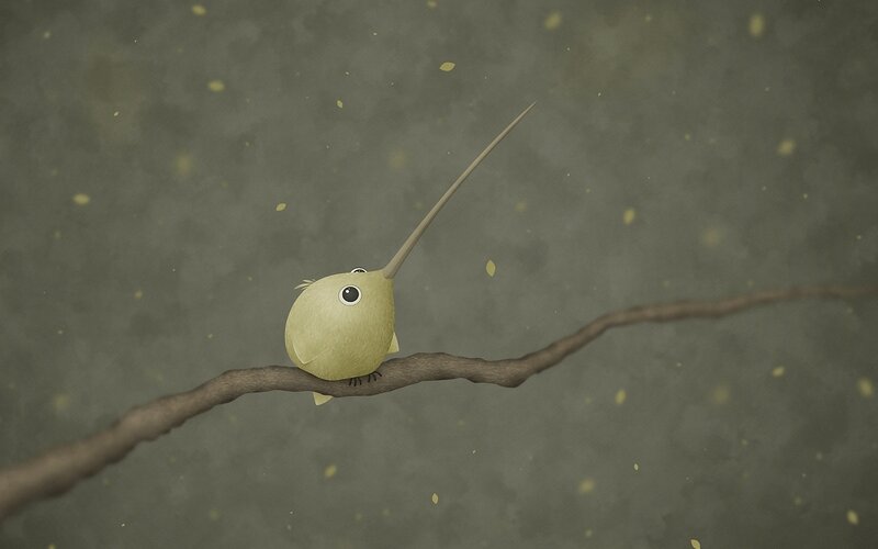 bird with long beak on branch