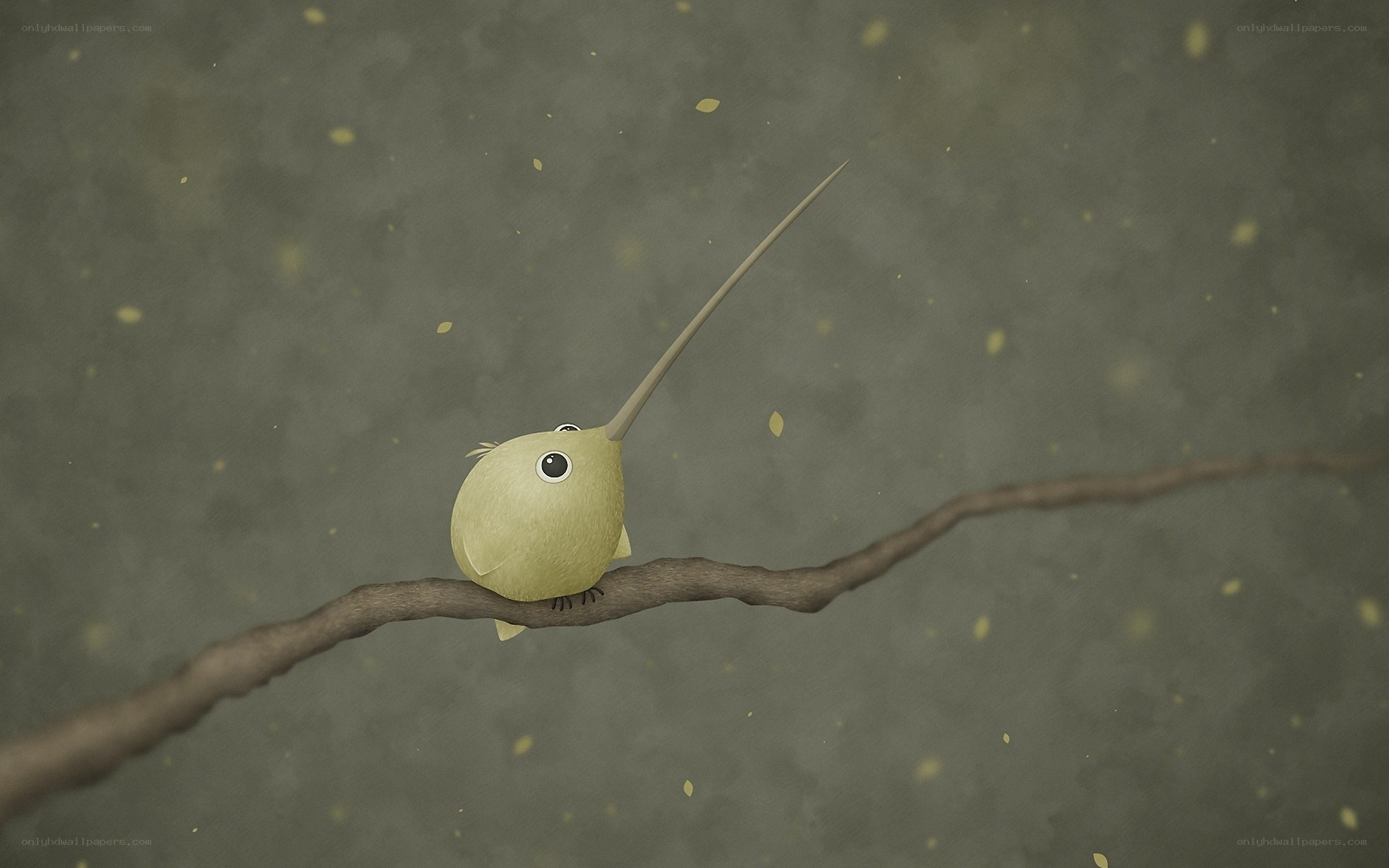 bird with long beak on branch