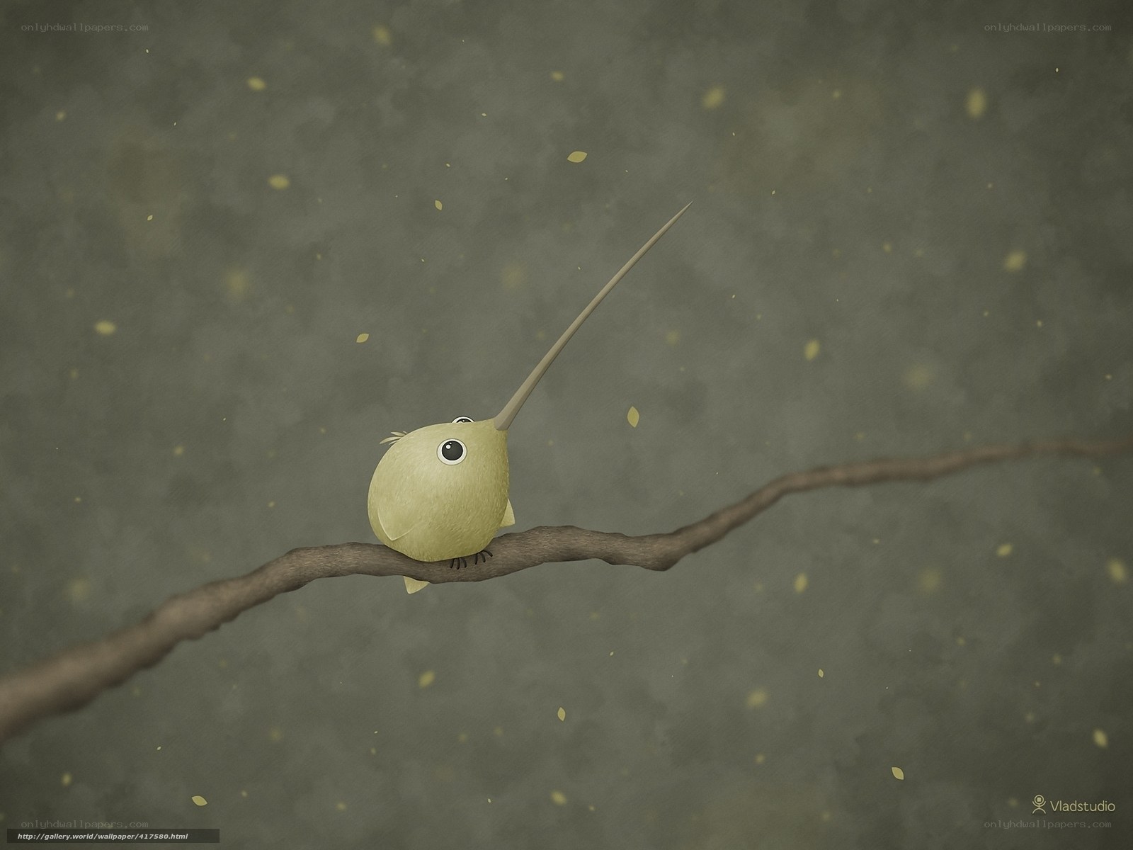 bird with long beak on branch