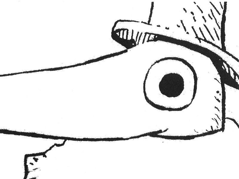 bird with long beak