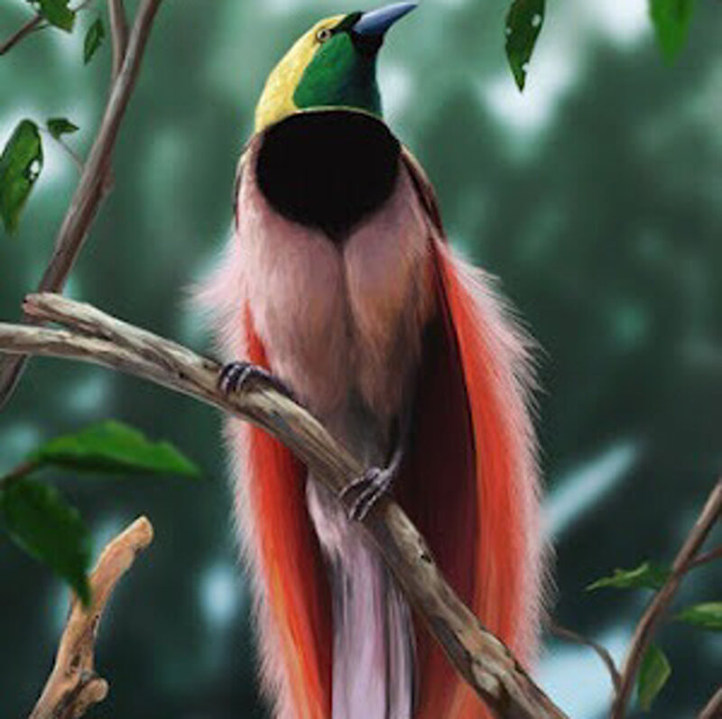 Bird with Long Tail Feathers — Green, Natural