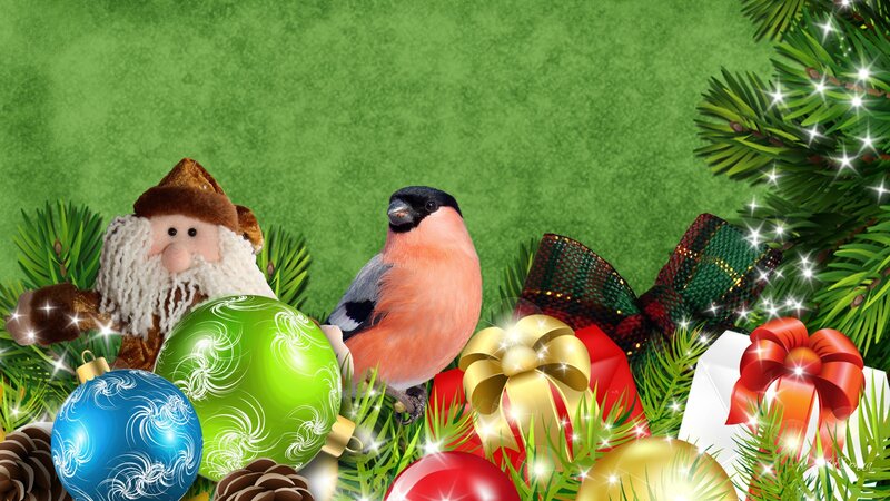 Bird with Ornaments